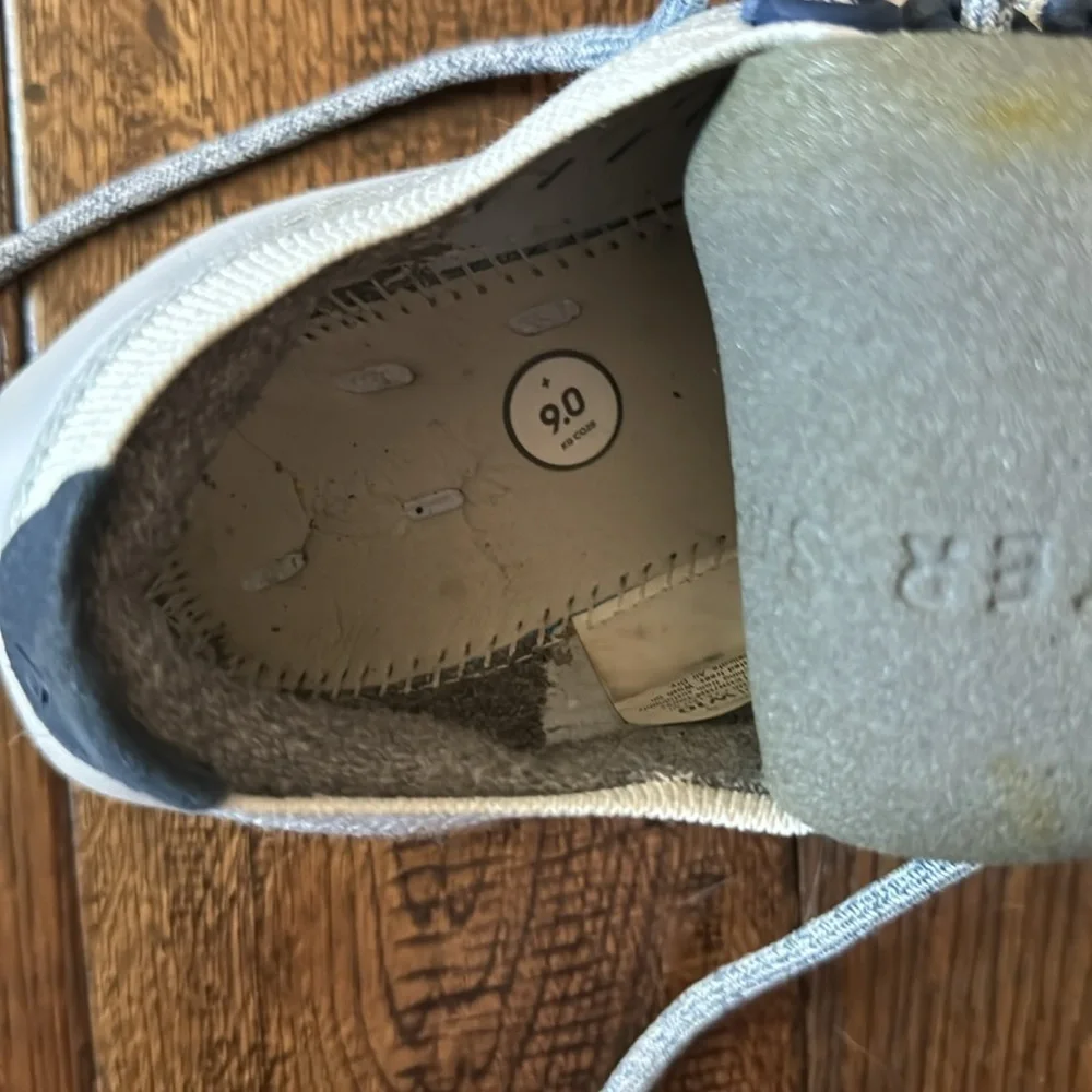 Allbirds True Dasher Wool Rubbing Sneaker Shoes